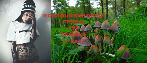 мяу мяу мука Алексеевка