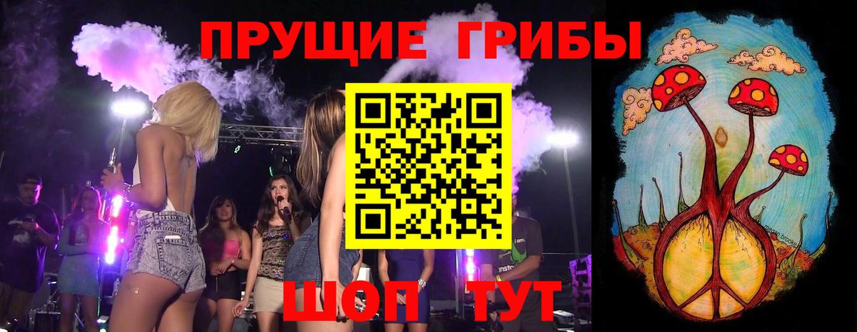 Кулебаки  Галлюциногенные грибы GOLDEN TEACHER  Галлюциногенные грибы Psilocybine cubensis  наркошоп  Вход с VPN 